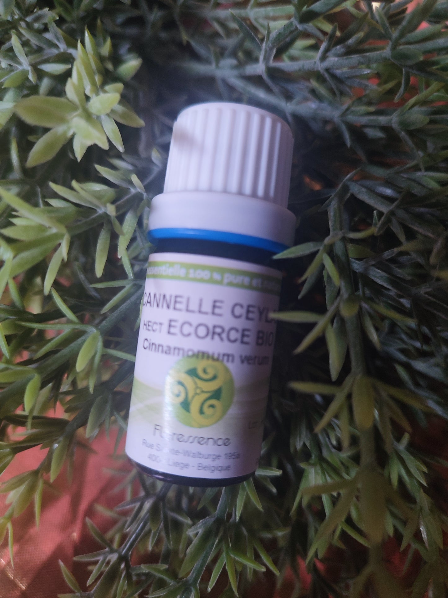 Huile essentielle CANELLE DE CEYLAN