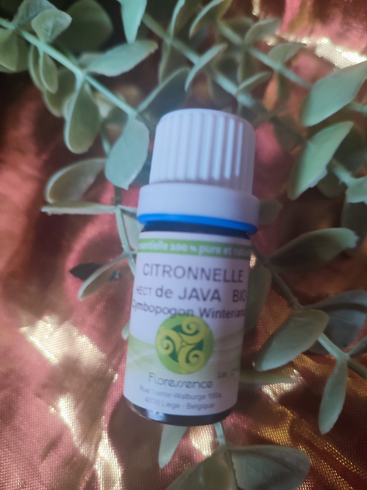 Huile essentielle CITRONNELLE DE JAVA