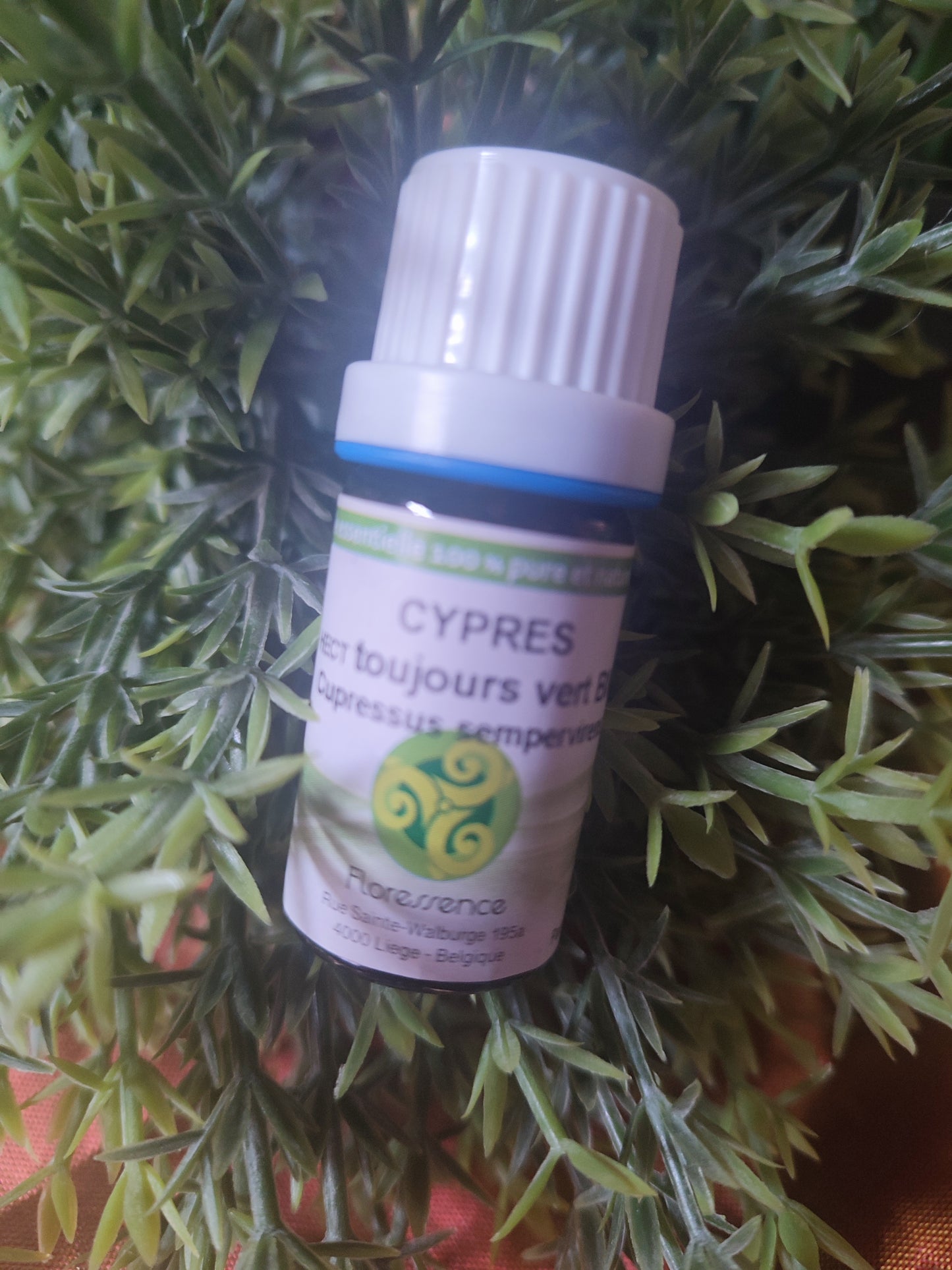 Huile essentielle CYPRES TOUJOURS VERT