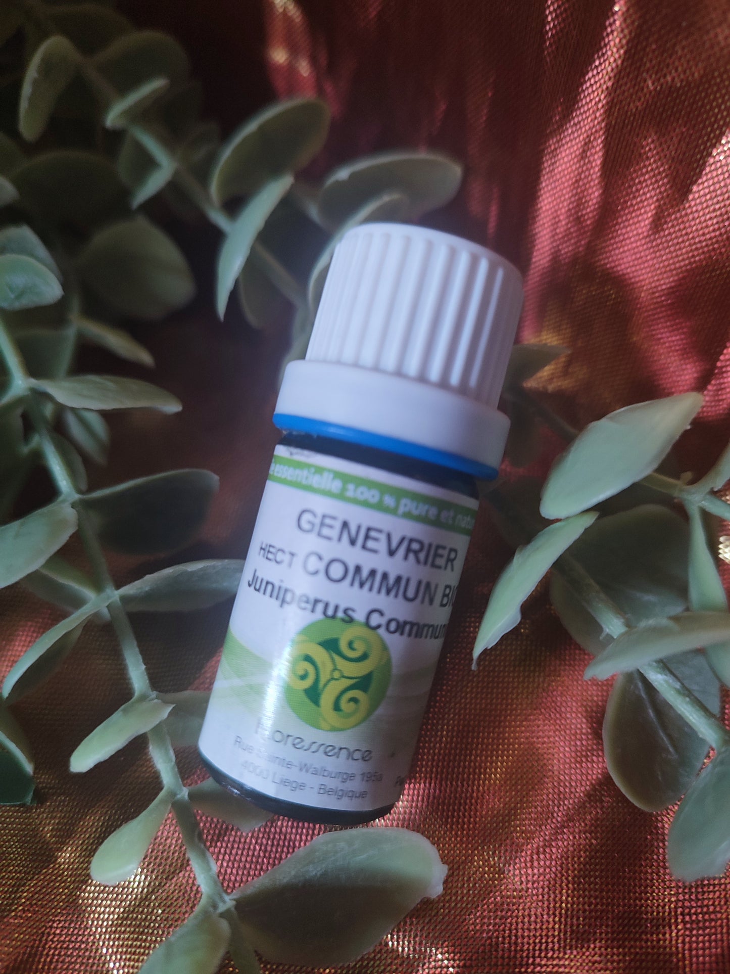 Huile essentielle GENEVRIER COMMUN