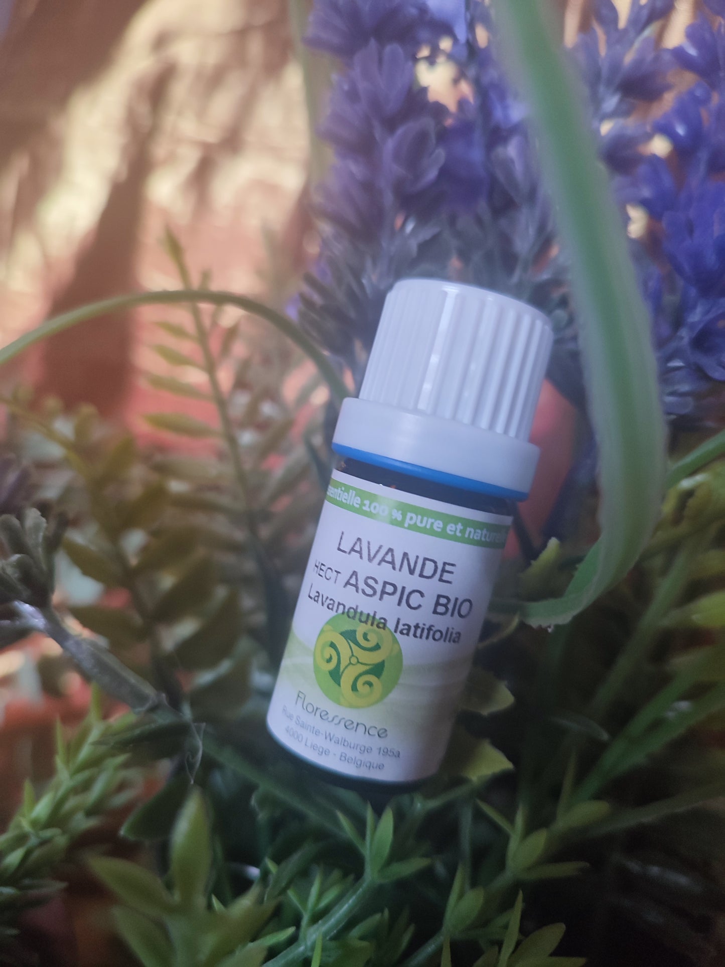 Huile essentielle LAVANDE ASPIC