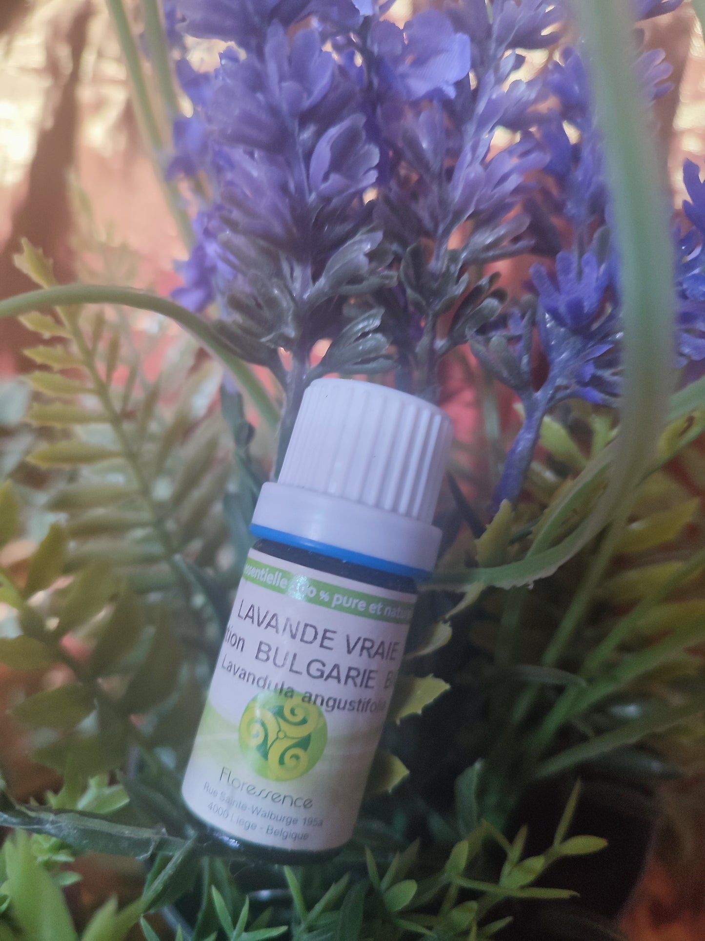 Huile essentielle LAVANDE VRAIE