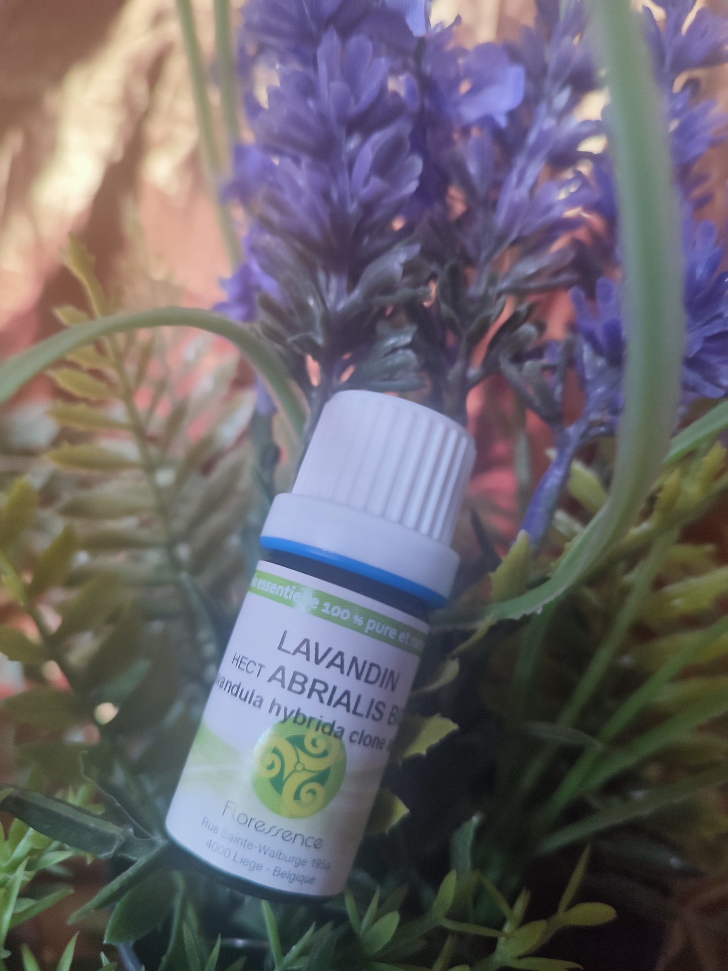 Huile essentielle LAVANDIN
