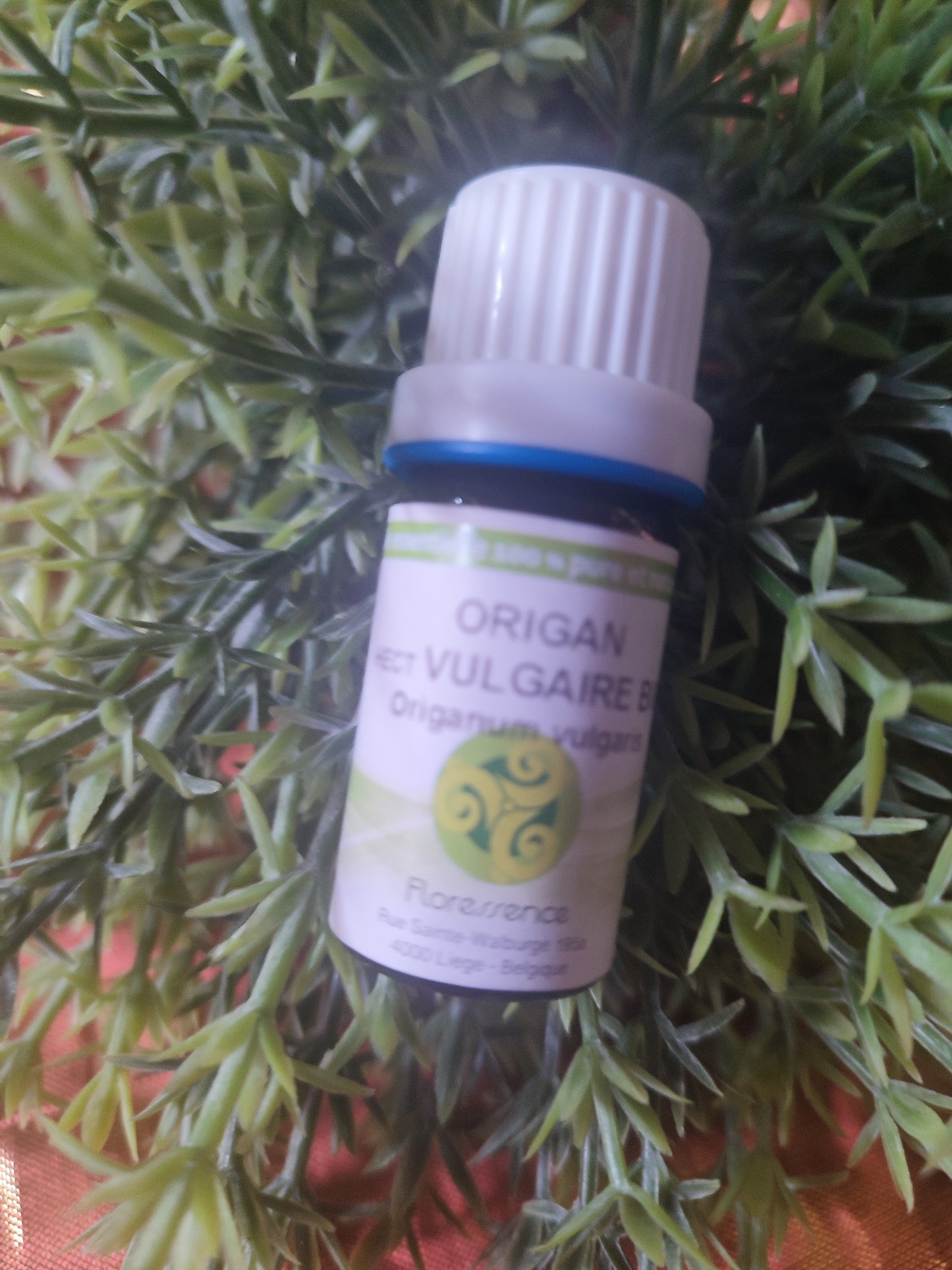 Huile essentielle ORIGAN VULGAIRE