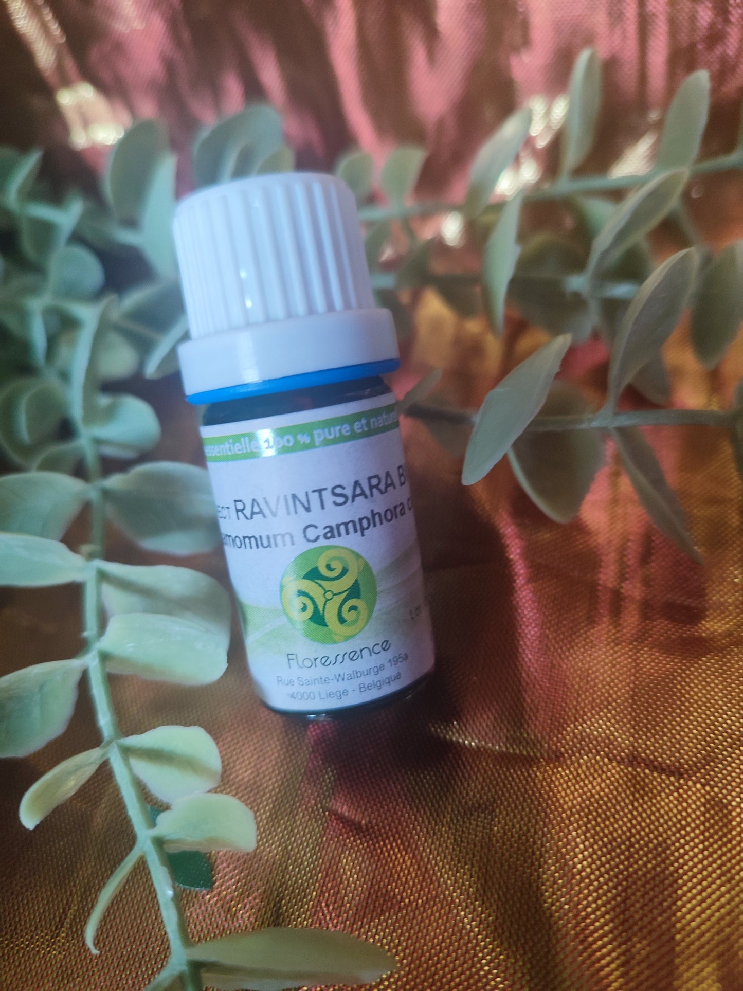 Huile essentielle RAVINTSARA