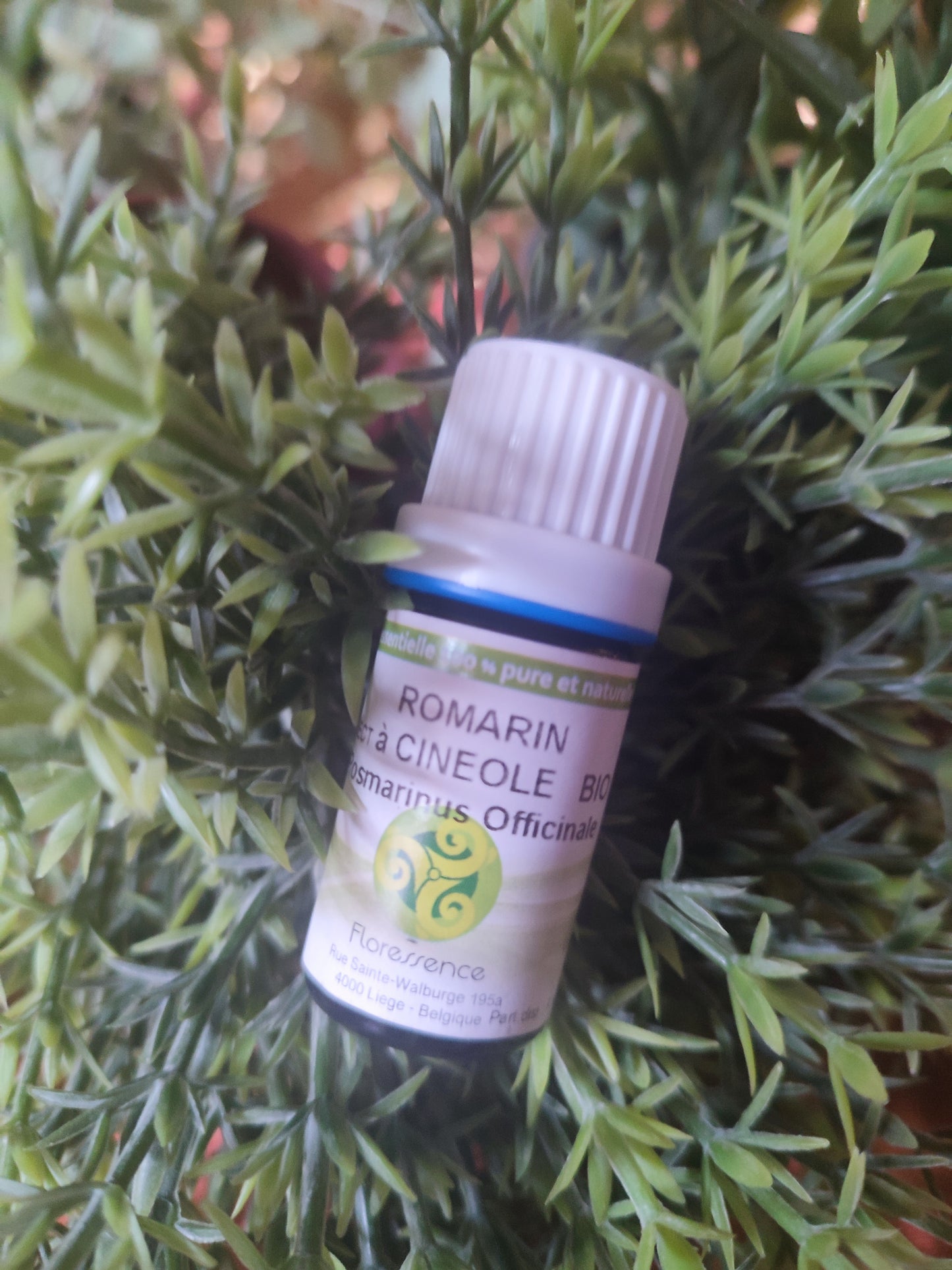 Huile essentielle ROMARIN A CINEOLE