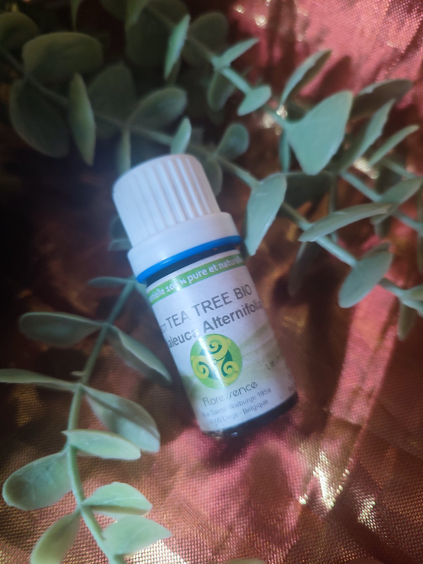 Huile essentielle TEA TREE (Arbre à thé)