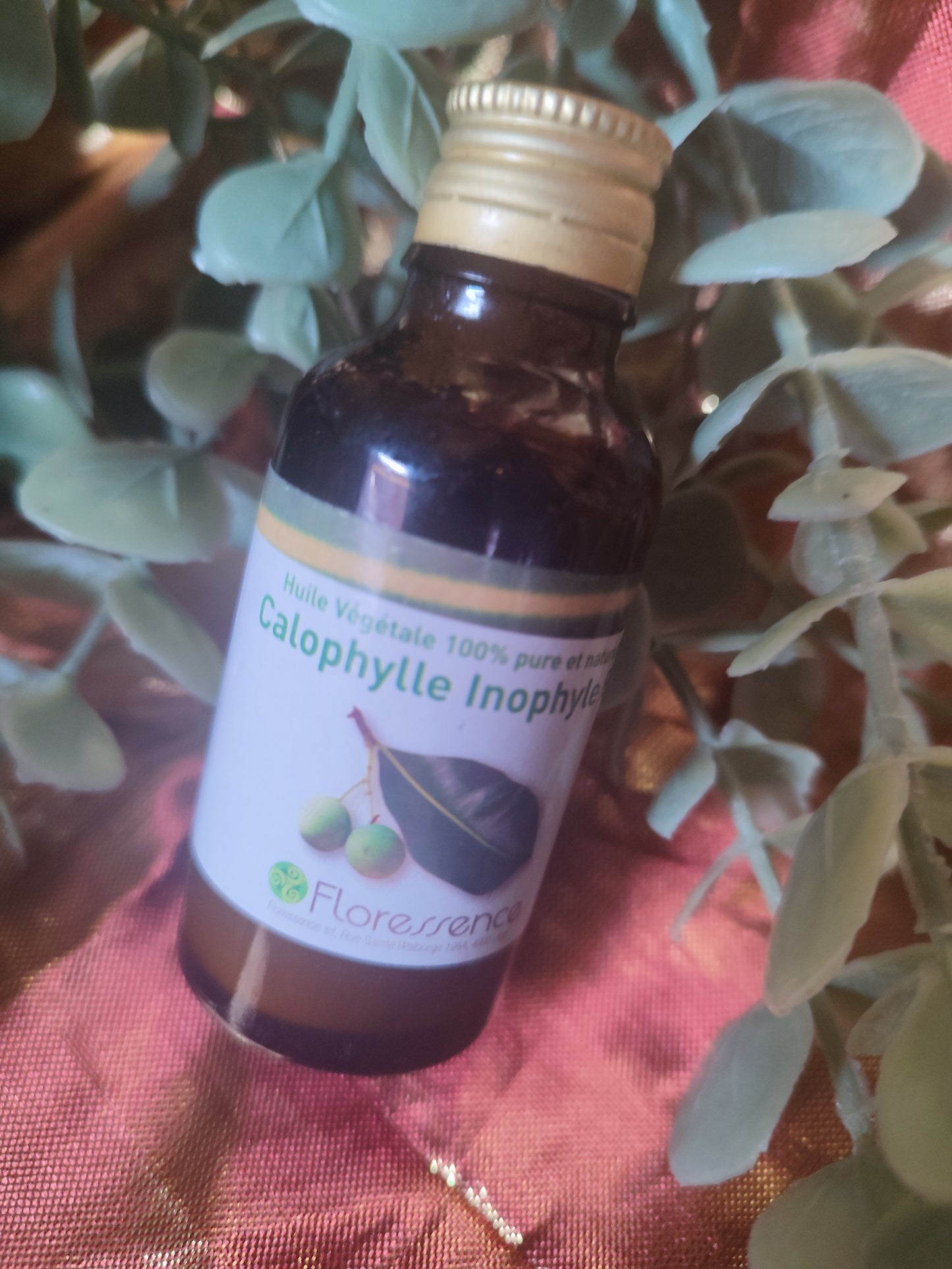 Huile végétale CALOPHYLLE INOPHYLE