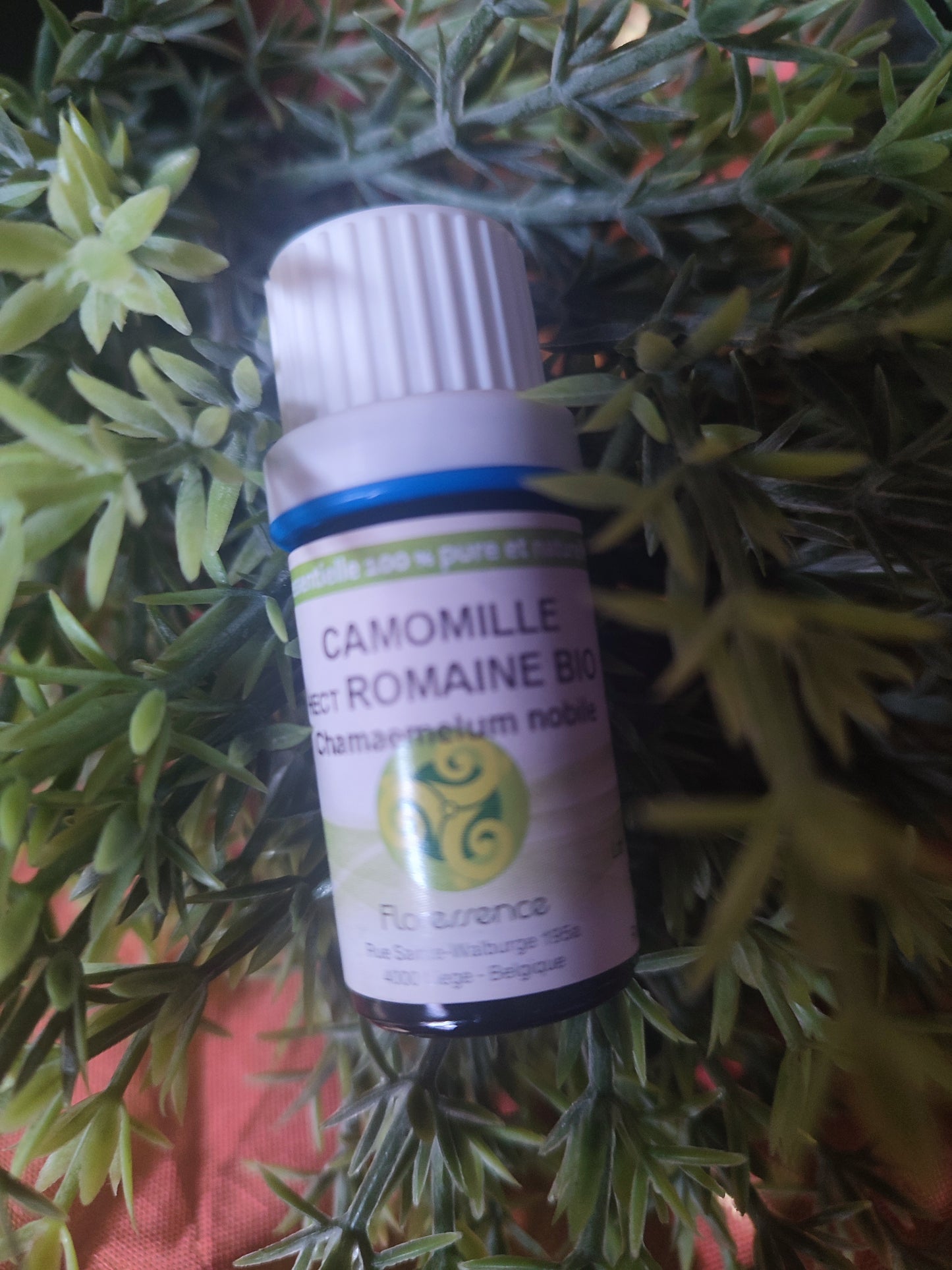 Huile essentielle CAMOMILLE ROMAINE