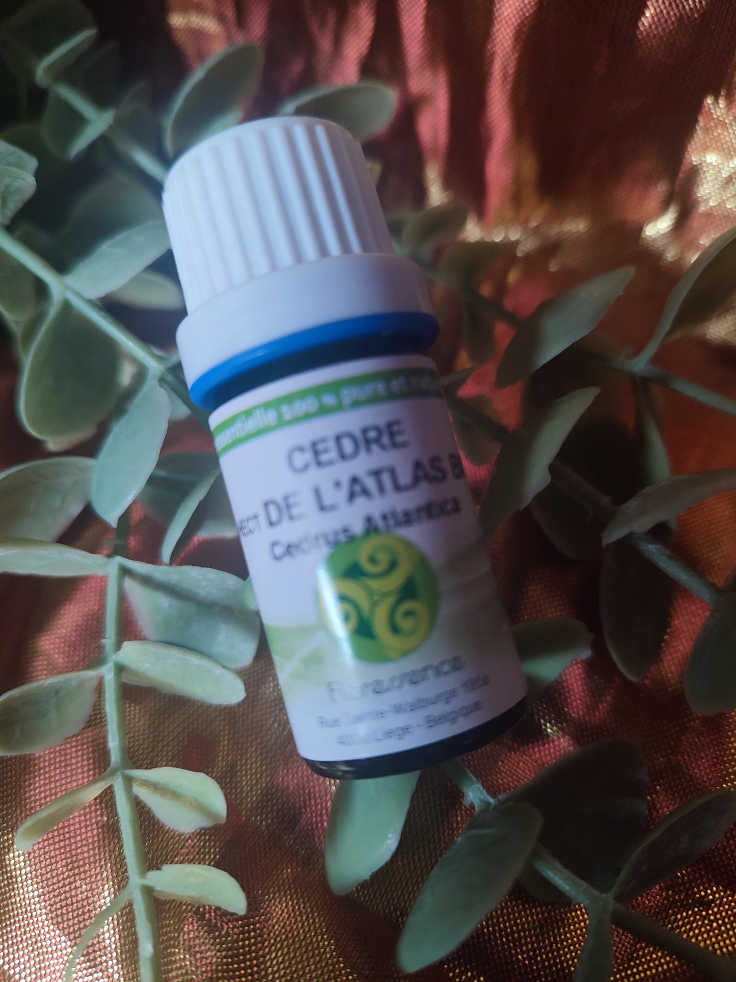 Huile essentielle CEDRE DE L'ATLAS