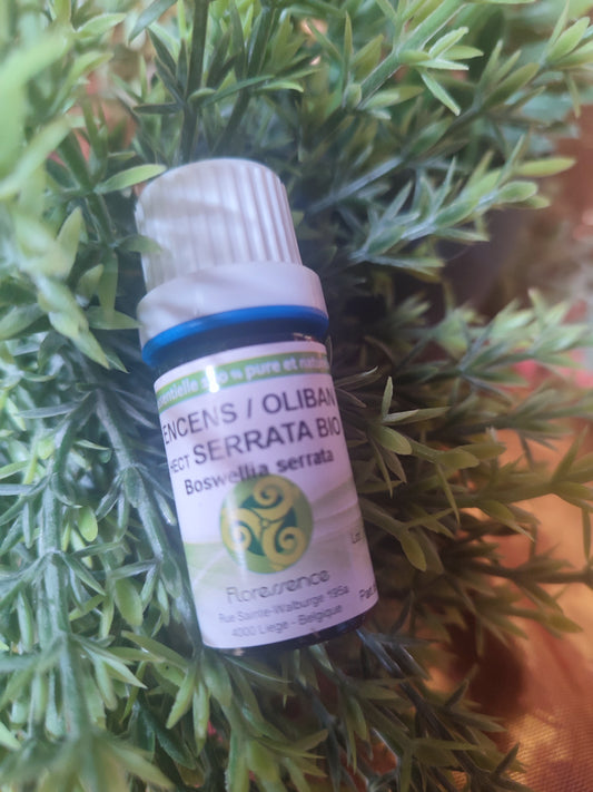 Huile essentielle ENCENS / OLIBAN