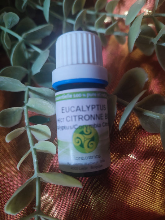 Huile essentielle EUCALYPTUS CITRONNE