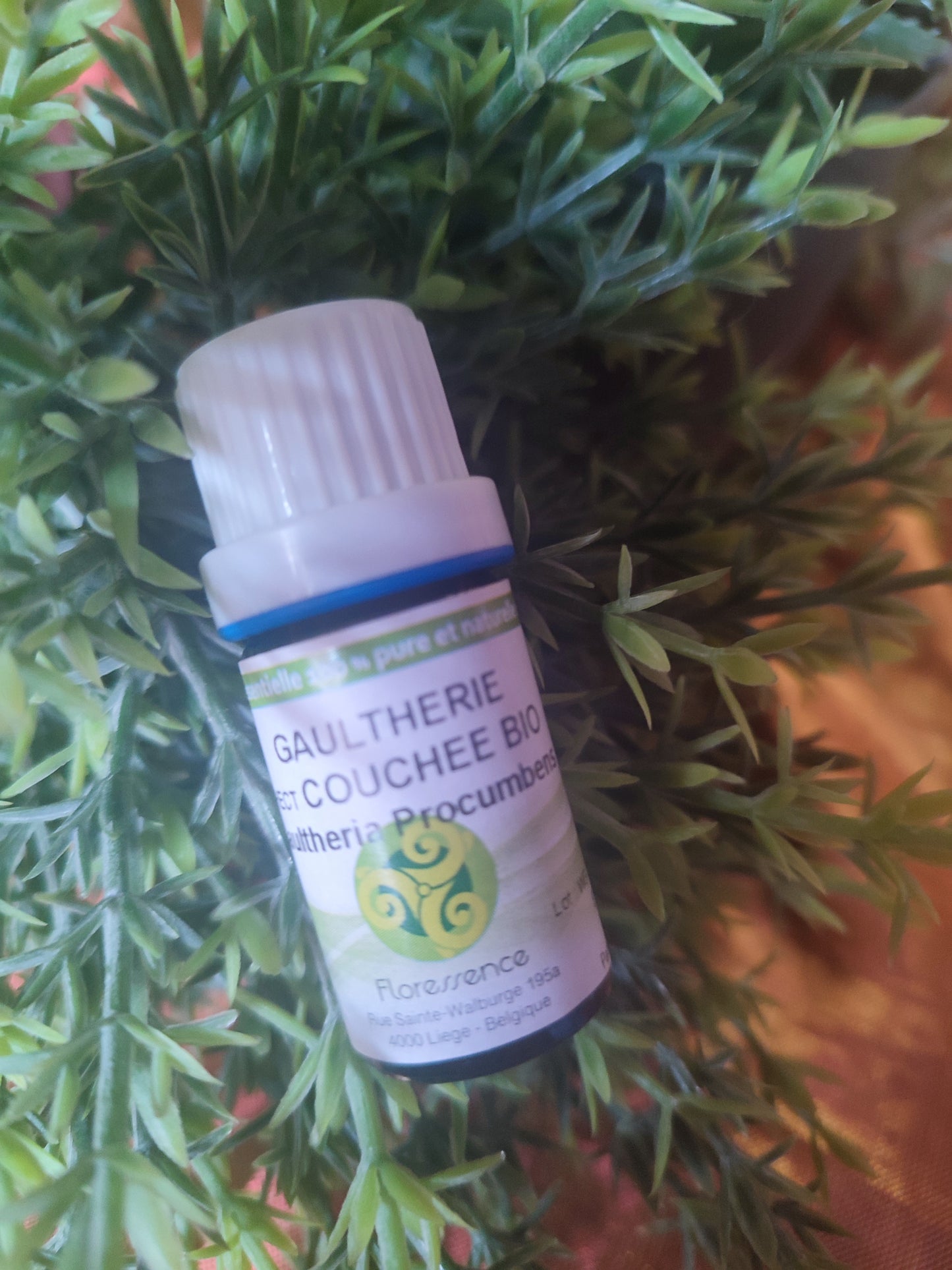 Huile essentielle GAULTHERIE COUCHEE