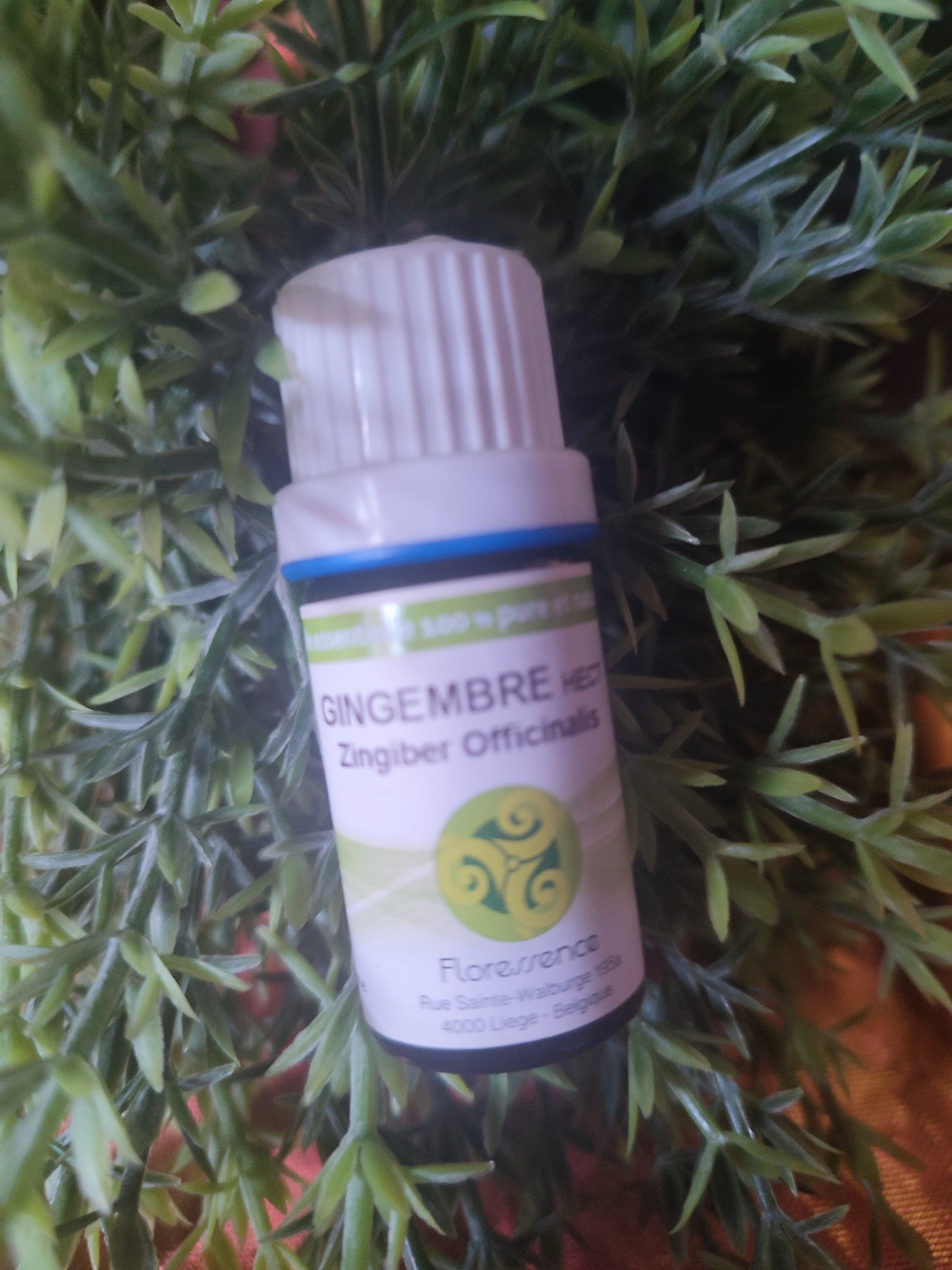 Huile essentielle GINGEMBRE