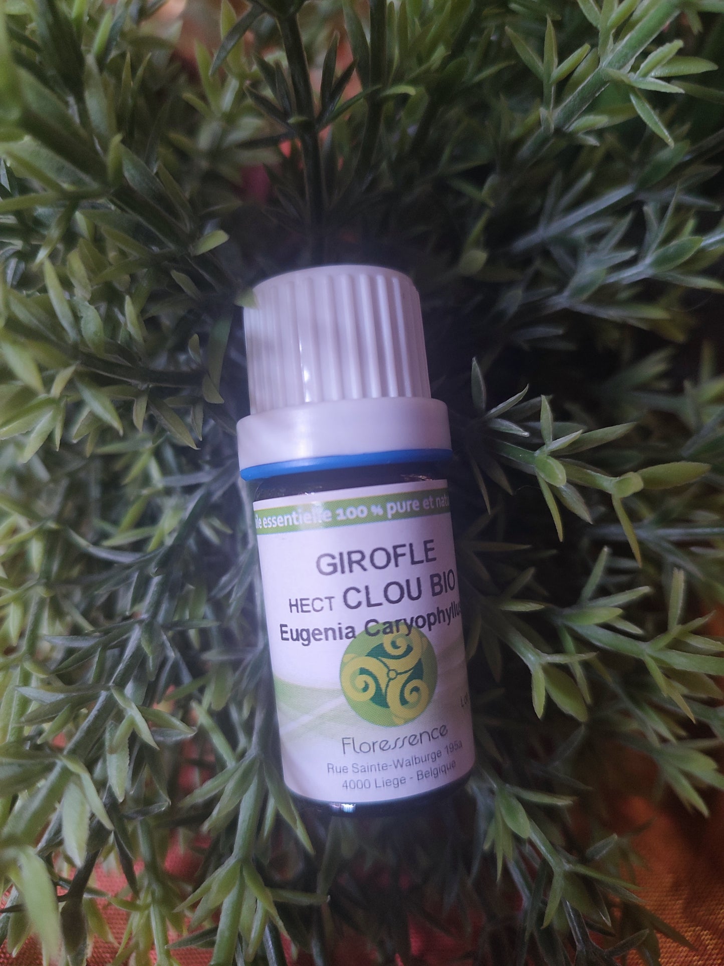 Huile essentielle GIROFLE