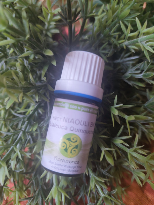 Huile essentielle NIAOULI