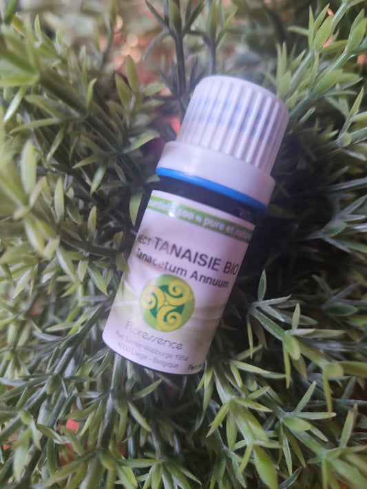 Huile essentielle TANAISIE ANNUELLE
