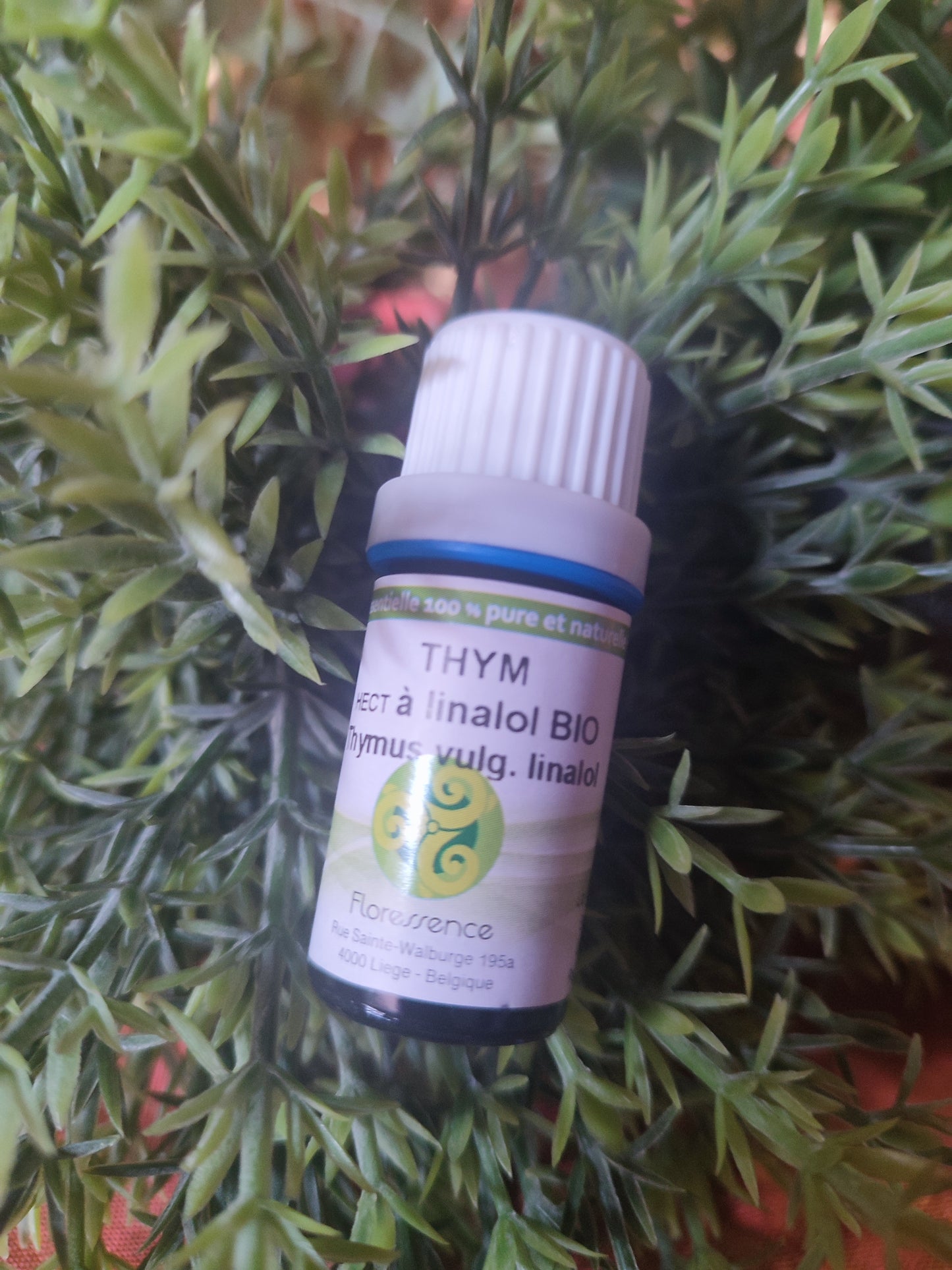 Huile essentielle THYM VULGAIRE ct Linalol