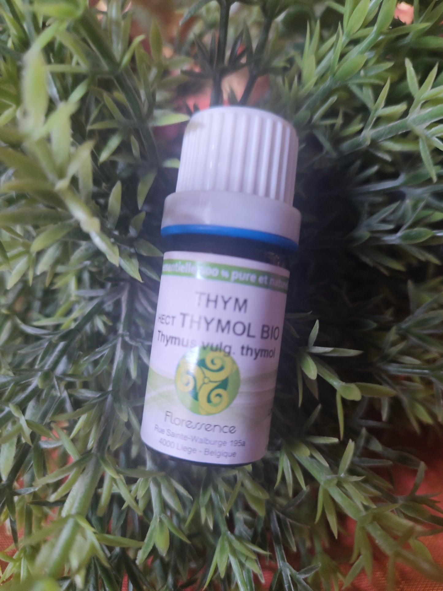 Huile essentielle THYM VULGAIRE A THYMOL