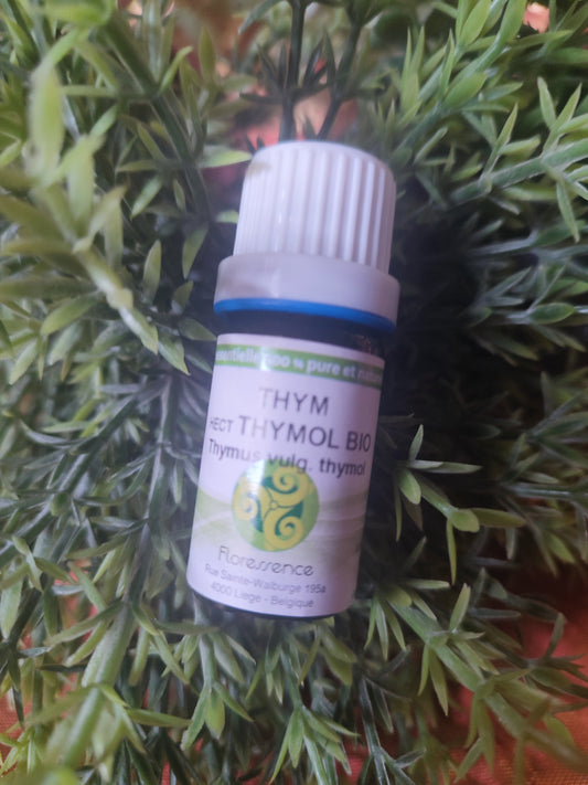 Huile essentielle THYM VULGAIRE A THYMOL