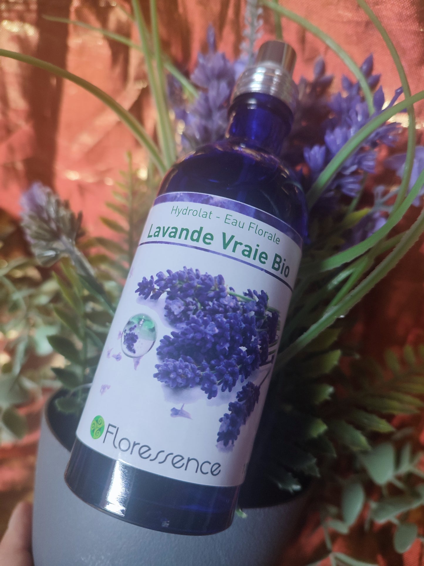 Hydrolat LAVANDE VRAIE