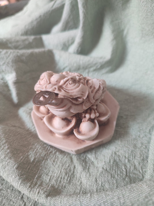 CRAPAUD de la fortune